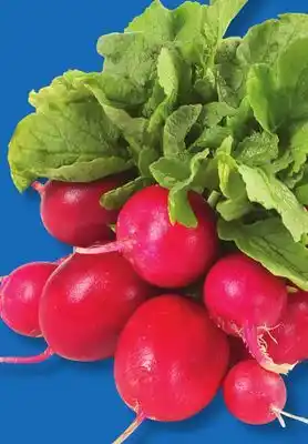 IGA LEAF OR MULTICOLOURED RADISHES offer