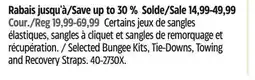 Canadian Tire Selected Bungee Kits, Tie-Downs, Towing and Recovery Straps offer