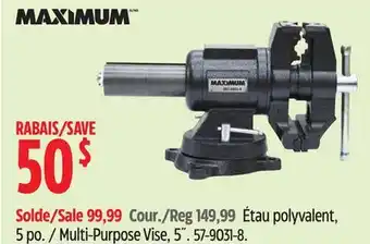 Canadian Tire Multi-Purpose Vise offer