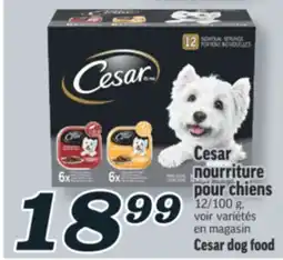 Marché Richelieu Cesar nourriture pour chiens | Cesar dog food offer