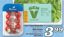 Marché Richelieu GEN V LAITUE BOSTON DUO OU BELLA TOMATES | GEN V BOSTON LETTUCE DUO OR BELLA TOMATOES offer