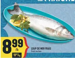 Marché Adonis LOUP DE MER FRAIS | FRESH SEA BASS offer