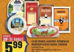 Marché Adonis ILE DE FRANCE, AGROPUR, SOIGNON OU MONSIEUR GUSTAV GOUDA, CHEDDAR FROMAGE | CHEESE offer