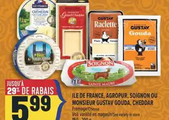 Marché Adonis ILE DE FRANCE, AGROPUR, SOIGNON OU MONSIEUR GUSTAV GOUDA, CHEDDAR FROMAGE | CHEESE offer