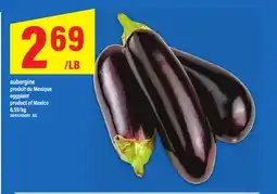 Maxi AUBERGINE | eggplant offer