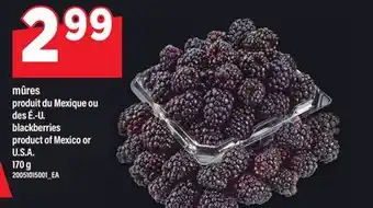 Maxi MÛRES | blackberries, 170 g offer