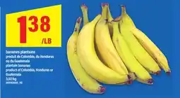 Maxi BANANES PLANTAINS OU DU GUATEMALA | plantain bananas Guatemala, 3,02/kg offer