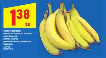 Maxi BANANES PLANTAINS OU DU GUATEMALA | plantain bananas Guatemala, 3,02/kg offer