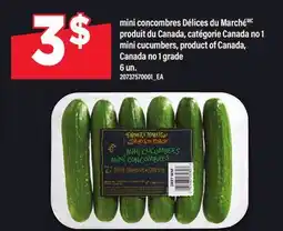 Maxi MINI CONCOMBRES DÉLICES DU MARCHÉ | mini cucumbers, product of Canada 6 UN offer