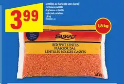 Maxi LENTILLES OU HARICOTS SECS SURAJ | Suraj dry beans or lentils, 1,8 kg offer