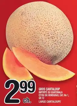 Marche Ami GROS CANTALOUP | LARGE CANTALOUPE offer