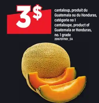 Maxi CANTALOUP | CANTALOUPE offer