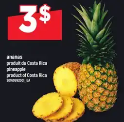 Maxi ANANAS | pineapple offer