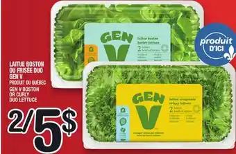 Marche Ami LAITUE BOSTON OU FRISÉE DUO GEN V | GEN V BOSTON OR CURLY DUO LETTUCE offer