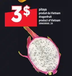 Maxi PITAYA | DRAGONFRUIT offer