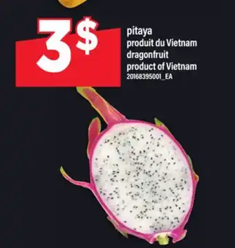 Maxi PITAYA | DRAGONFRUIT offer