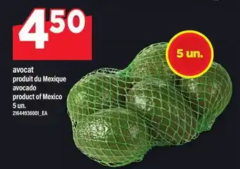 Maxi AVOCAT | avocado, 5 un offer