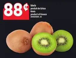 Maxi KIWIS | kiwis offer