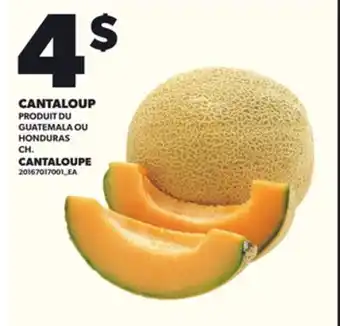 Provigo CANTALOUPE offer