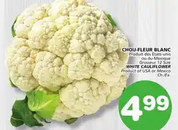 Marches Tradition WHITE CAULIFLOWER offer