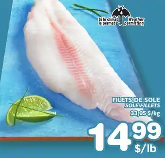 Marches Tradition SOLE FILLETS offer