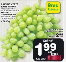 Marches Tradition SEEDLESS GREEN GRAPES offer