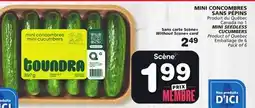 Marches Tradition MINI SEEDLESS CUCUMBERS offer