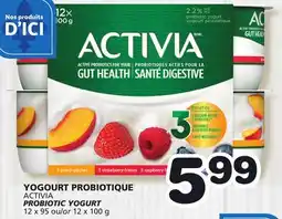 Marches Tradition ACTIVIA PROBIOTIC YOGURT offer