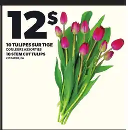 Provigo 10 TULIPES SUR TIGE offer