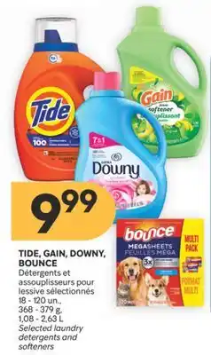 Brunet TIDE, GAIN, DOWNY, BOUNCE Détergents et assouplisseurs pour lessive sélectionnés offer