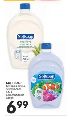 Brunet SOFTSOAP Savons à mains sélectionnés offer