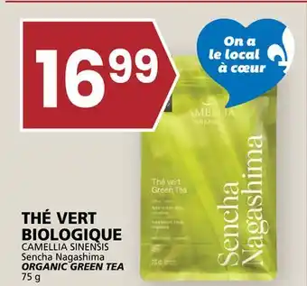 Rachelle-Bery Grocery CAMELLIA SINENSIS ORGANIC GREEN TEA offer