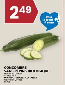 Rachelle-Bery Grocery ORGANIC SEEDLESS CUCUMBER offer