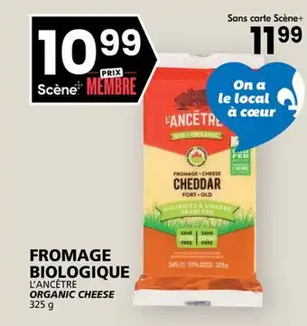 Rachelle-Bery Grocery L'ANCÊTRE ORGANIC CHEESE offer