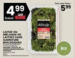 Rachelle-Bery Grocery ATTITUDE FRAÎCHE ORGANIC LETTUCE OR LETTUCE BLEND WITHOUT TOPPINGS offer