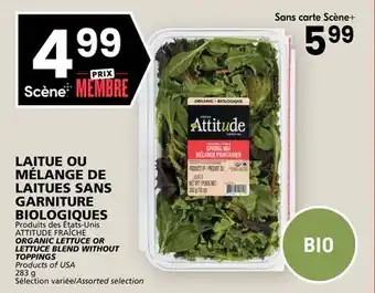 Rachelle-Bery Grocery ATTITUDE FRAÎCHE ORGANIC LETTUCE OR LETTUCE BLEND WITHOUT TOPPINGS offer