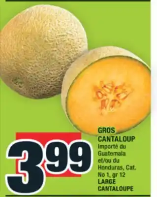 Super C GROS CANTALOUP | LARGE CANTALOUPE offer