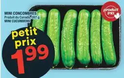 Super C MINI CONCOMBRES | MINI CUCUMBERS offer