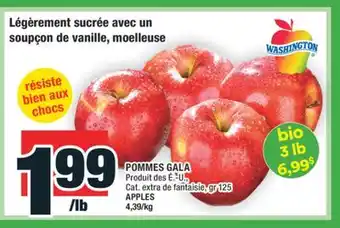 Super C POMMES GALA | APPLES offer