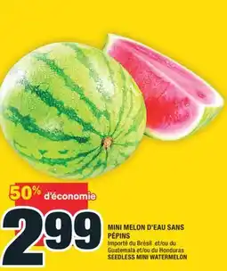 Super C MINI MELON D'EAU SANS PÉPINS | SEEDLESS MINI WATERMELON offer