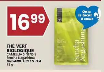 Rachelle-Bery Grocery CAMELLIA SINENSIS Sencha Nagashima ORGANIC GREEN TEA offer