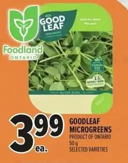 Metro Goodleaf microgreens offer