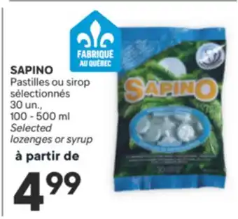 Brunet SAPINO Pastilles sélectionnés offer