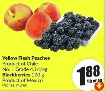 FreshCo Yellow Flesh Peaches offer