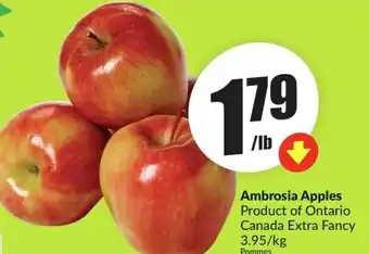 FreshCo Ambrosia Apples offer