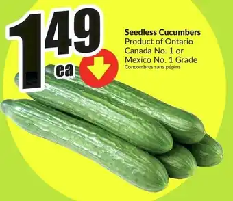 FreshCo Seedless Cucumbers offer