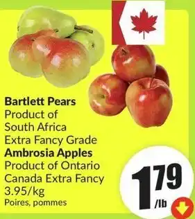 FreshCo Bartlett Pears offer