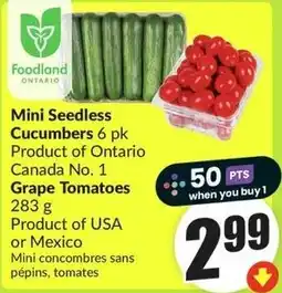 FreshCo Mini Seedless Cucumbers offer