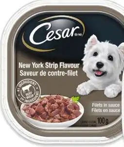 Walmart Cesar Wet Dog Food Singles offer