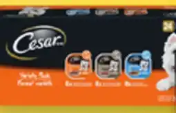 Walmart Cesar Wet Dog Food Value Pack offer